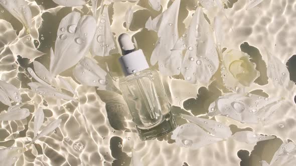 Cosmetic Bottle with Pipette and Rose Petals Flowers on Water Surface with Drops