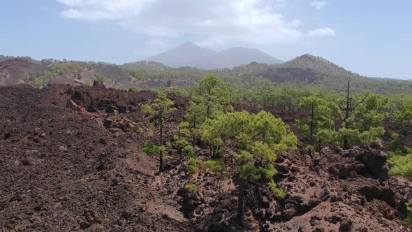 Majestic volcanic landscape and Teide volcano in far distance, aerial ascend view
