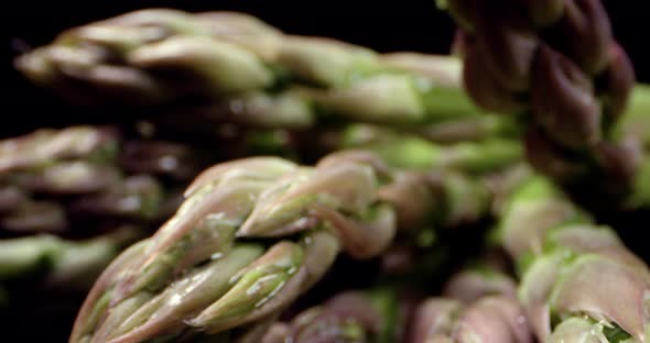 Fresh green asparagus super macro