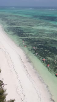 Vertical Video of the Ocean Near the Coast of Zanzibar Tanzania