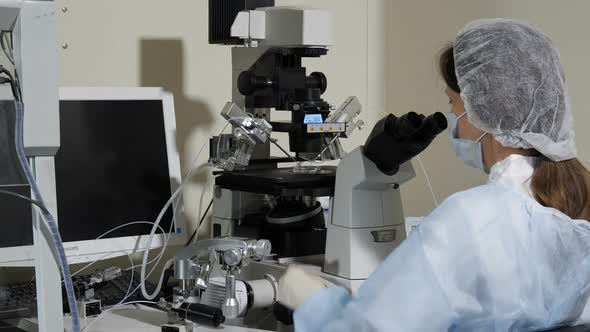 An Embryologist Looks Through a Microscope and Performs Artificial Insemination