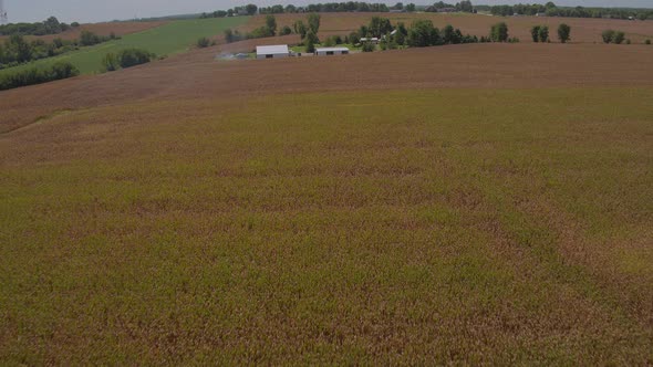 Aerial flyover farmland and a family farm with a barn and house on a summer day in the country