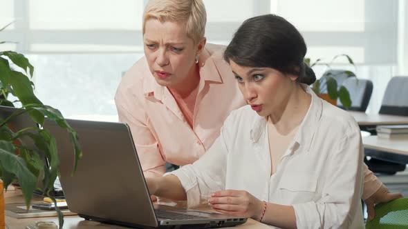 Young Businesswoman Showing Her Projects on the Laptop To Her Female Boss