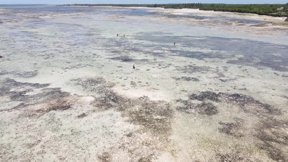 Aerial View of Low Tide in the Ocean Near the Coast of Zanzibar Tanzania