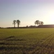 Aerial Cinematic Clip Drone Flying Over a Farm Field During Sunset - VideoHive Item for Sale