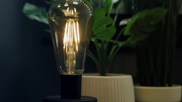 Decorative Table Lamp with a Classic Edison Light Bulb