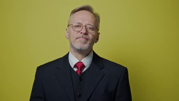 Portrait of a senior businessman