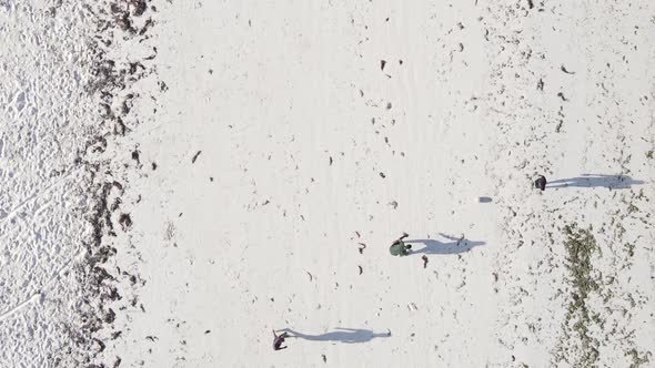 Zanzibar Tanzania  Vertical Video People Play Football on the Beach Slow Motion