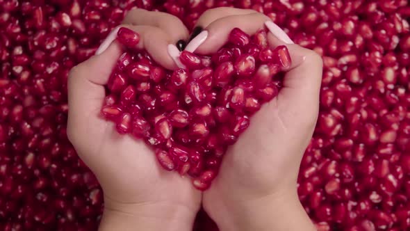 Falling Grains of Pomegranate Into the Hands . Slow Motion