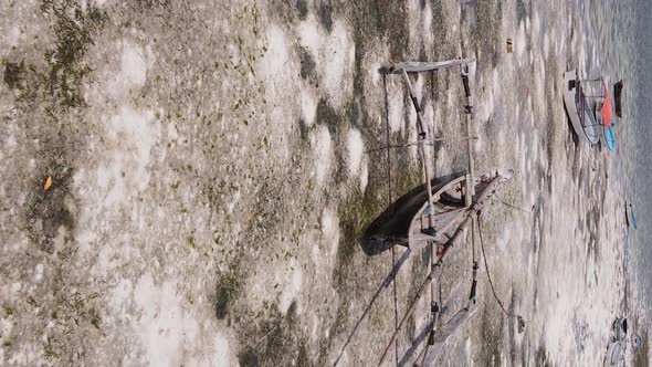 Zanzibar Tanzania  Vertical Video of Low Tide in the Ocean Near the Coast Slow Motion