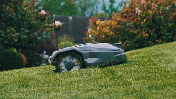 Robotic Lawn Mower Moving Across Lawn Robot Cuts Green Grass in the Backyard