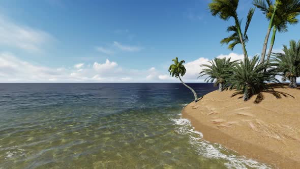 Palm Island Ocean alt