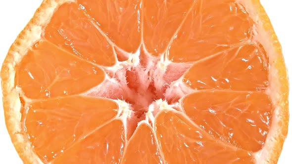 Rotating Mandarin Slice 