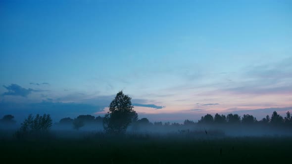 Evening Fog Time Lapse