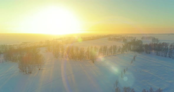 Aerial Drone View of Cold Winter Landscape with Arctic Field Trees Covered with Frost Snow and