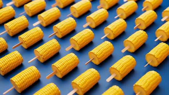 Animation of corns on the cobs. Boiled sweetcorn on wooden skewers. Vegetables.