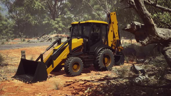 Excavator Tractor in Bush Forest