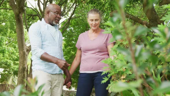 Happy senior diverse couple wearing shirts and working in garden