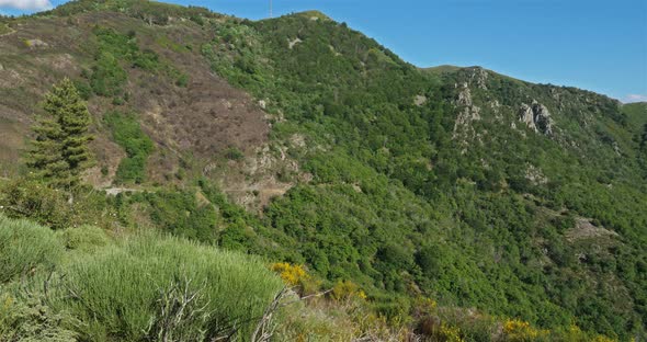 Col de l'Asclier, Cevennes, Gard, France