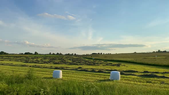 Rural landscape with bales of hay