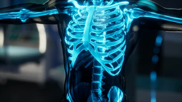 Human Skeleton Bones Scan Exam in Lab alt