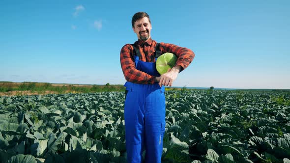 Agriscientist, Professional Agrarian, Farmer Is Smiling While Holding a Cabbage