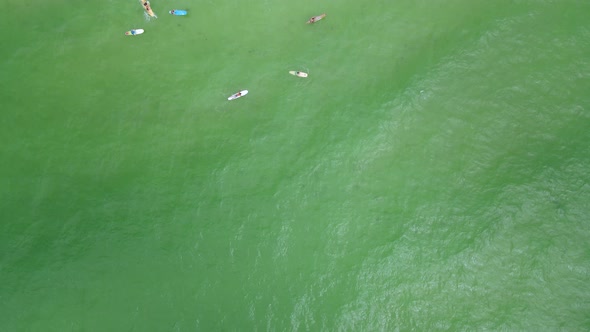 SUP - Group of Tourists on Paddleboards on Florida Gulf Coast Beach - Drone Overhead Aerial View