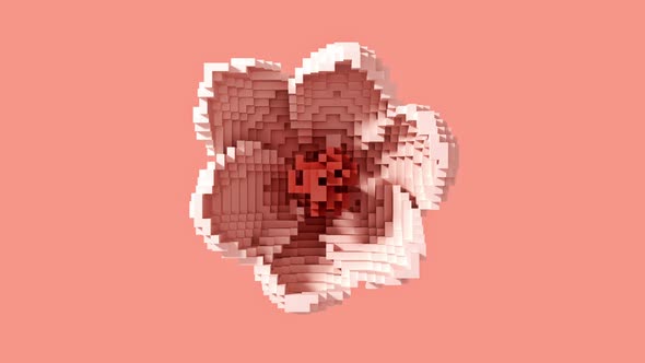 Transformation of a 3D pixel into a digital blooming flower