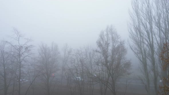 Lot Of Cars Driving By The Misty Road