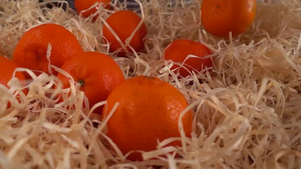 Falling tangerines on the straw. Slow motion.