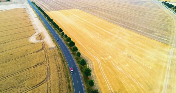 Aerial Fly Over The Road Between Agriculturw Fields With Car Travelling  4