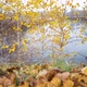 Slider Panorama in the Autumn Park. - VideoHive Item for Sale