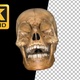 Skull of Skeleton Laugh - VideoHive Item for Sale