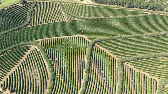 Rural landscape aerial view. Nature scenery