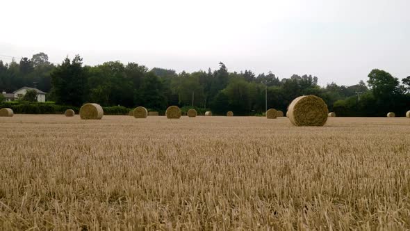 walking towards bales on the field