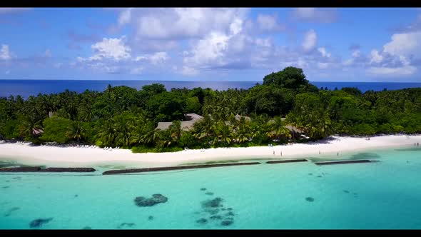 Aerial drone shot seascape of tranquil tourist beach wildlife by aqua blue lagoon with white sandy b