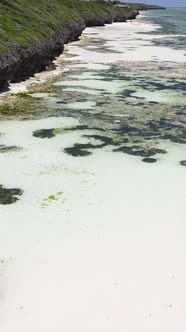 Tanzania  Vertical Video of Low Tide in the Ocean Near the Coast of Zanzibar Slow Motion