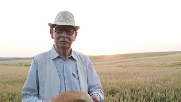 Senior Man with Glasses in a Hat Presents a Loaf of Bread at Camera in Field