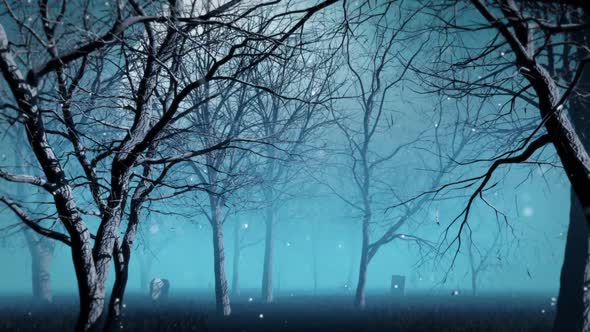 Blue Fog Forest