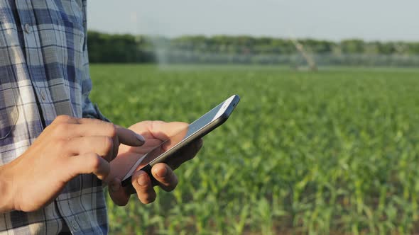 Farmer Uses a Smartphone in the Field, Close-up Hands