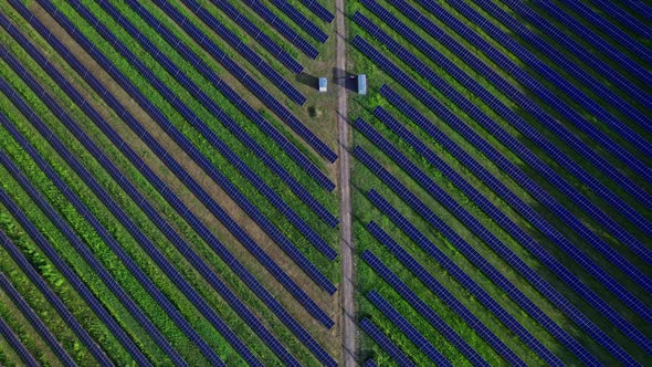 Vast Area of Farmland Now Covered with Solar Power