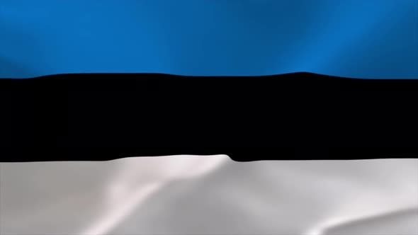 Estonian Waving Flag 4K Moving Wallpaper Background