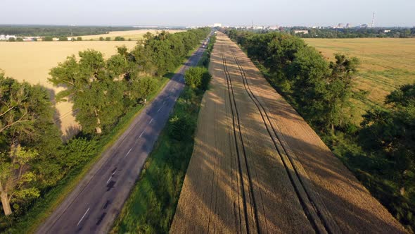 Aerial Drone View Flight Over Highway Wheat Field and Green Trees at Sunset Dawn