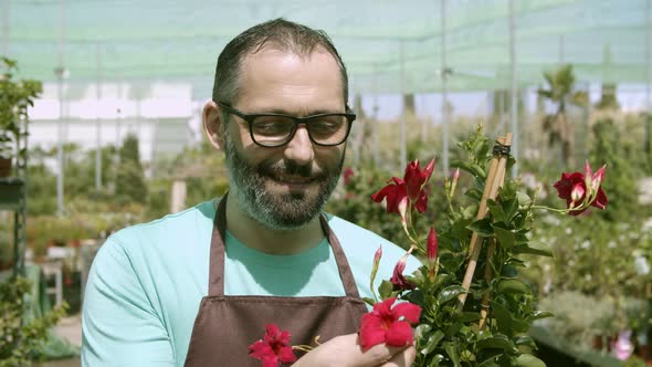 Happy Hispanic Male Florist Holding Potted Flowering Plant