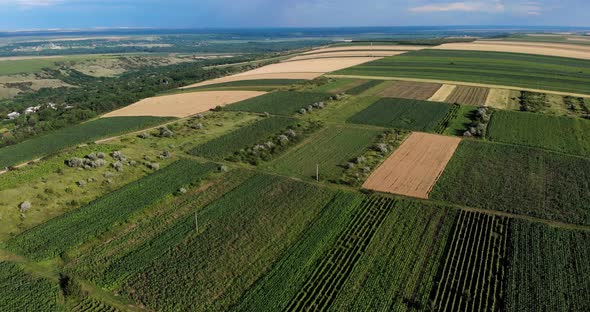 Aerial View Of Vast Green Landscape Of Farmland Under Blue Sky.