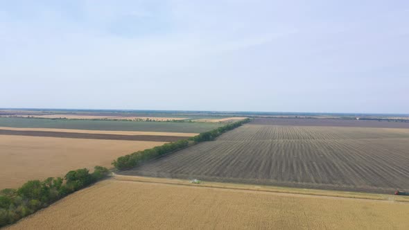 Different Combine Machines Harvesting Corn In The Field 23