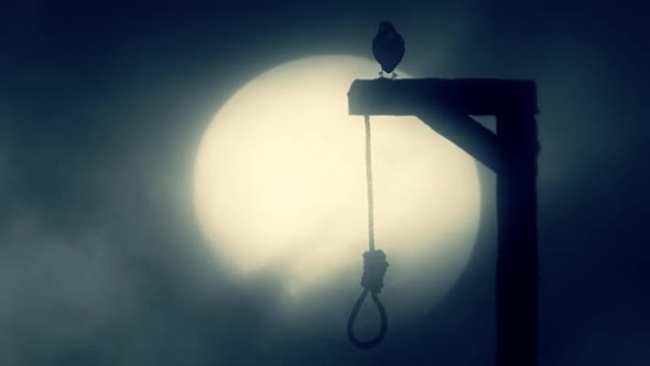Black Raven Standing On A Gallows With A Swinging Noose On A Full Moon Background