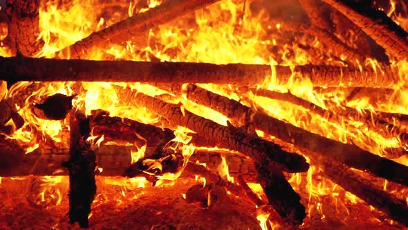 Big Campfire of the Logs Burns at Night in the Forest