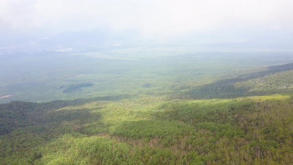 Aerial view of forest of fuji