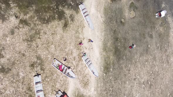 Zanzibar Tanzania  Vertical Video of Low Tide in the Ocean Near the Coast Slow Motion